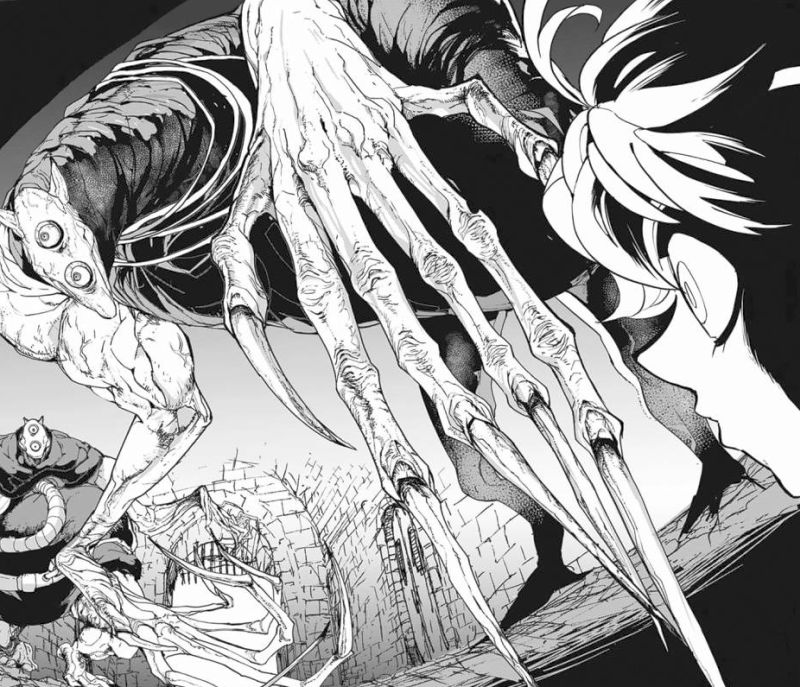 Horror Manga by Posuka Demizu, Kaiu Shirai - The Promised Neverland