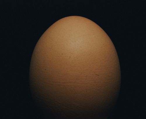 A picture of the weird creepypasta An Egg