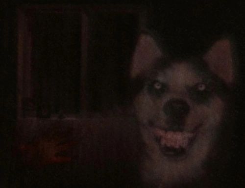 A picture of the best creepypasta Smile Dog.