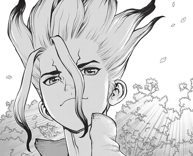 Best Manga by Riichiro Inagaki and Boichi - Dr. Stone Picture 1