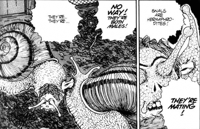 Junji Ito's Uzumaki - The Snail 2