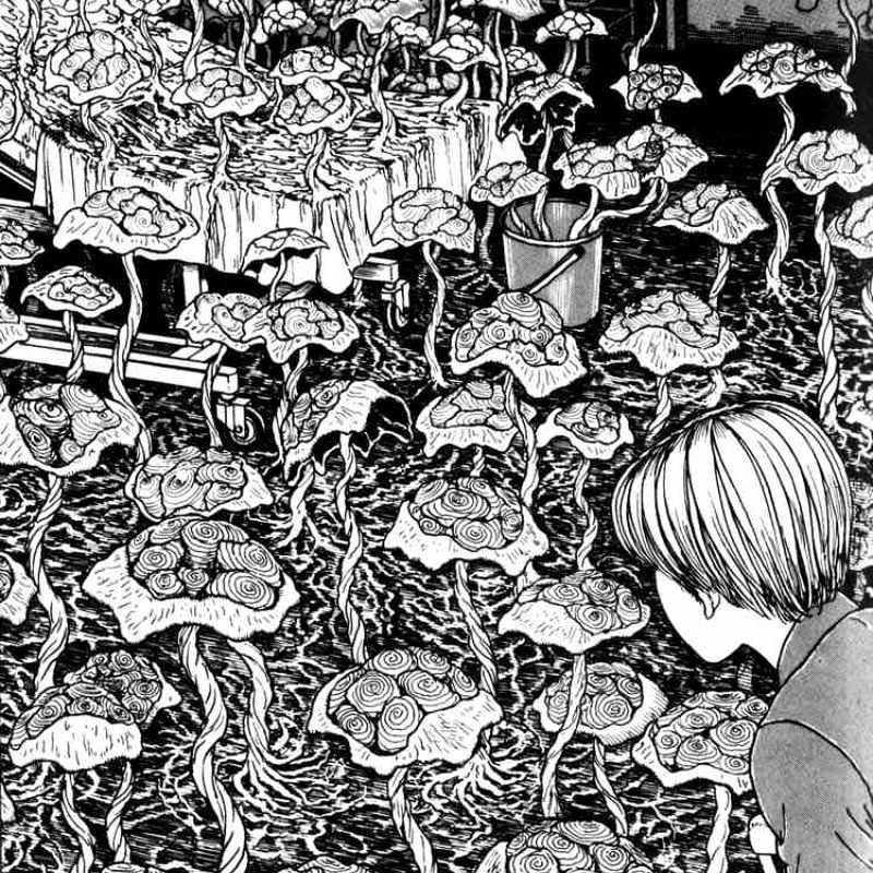 Junji Ito's Uzumaki - The Umbilical Cord - 1