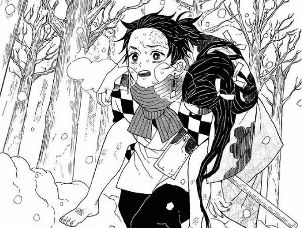 Manga by Koyoharu Gotouge - Demon Slayer Picture 1
